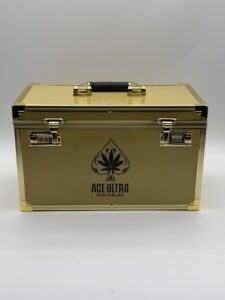 ACE Ultra Premium Dual 4G Disposable