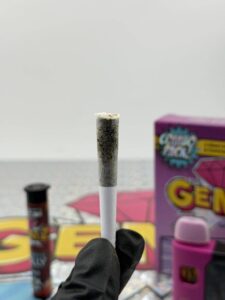 gemz 2g disposable